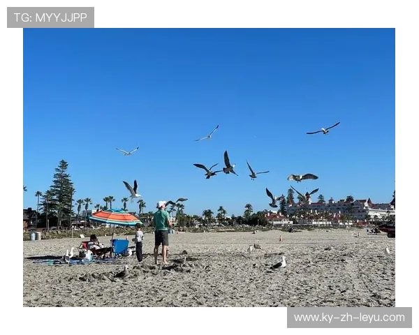 _沙滩鸟巢跑：一场充满趣味的海滩运动秀_，沙滩鸟图片