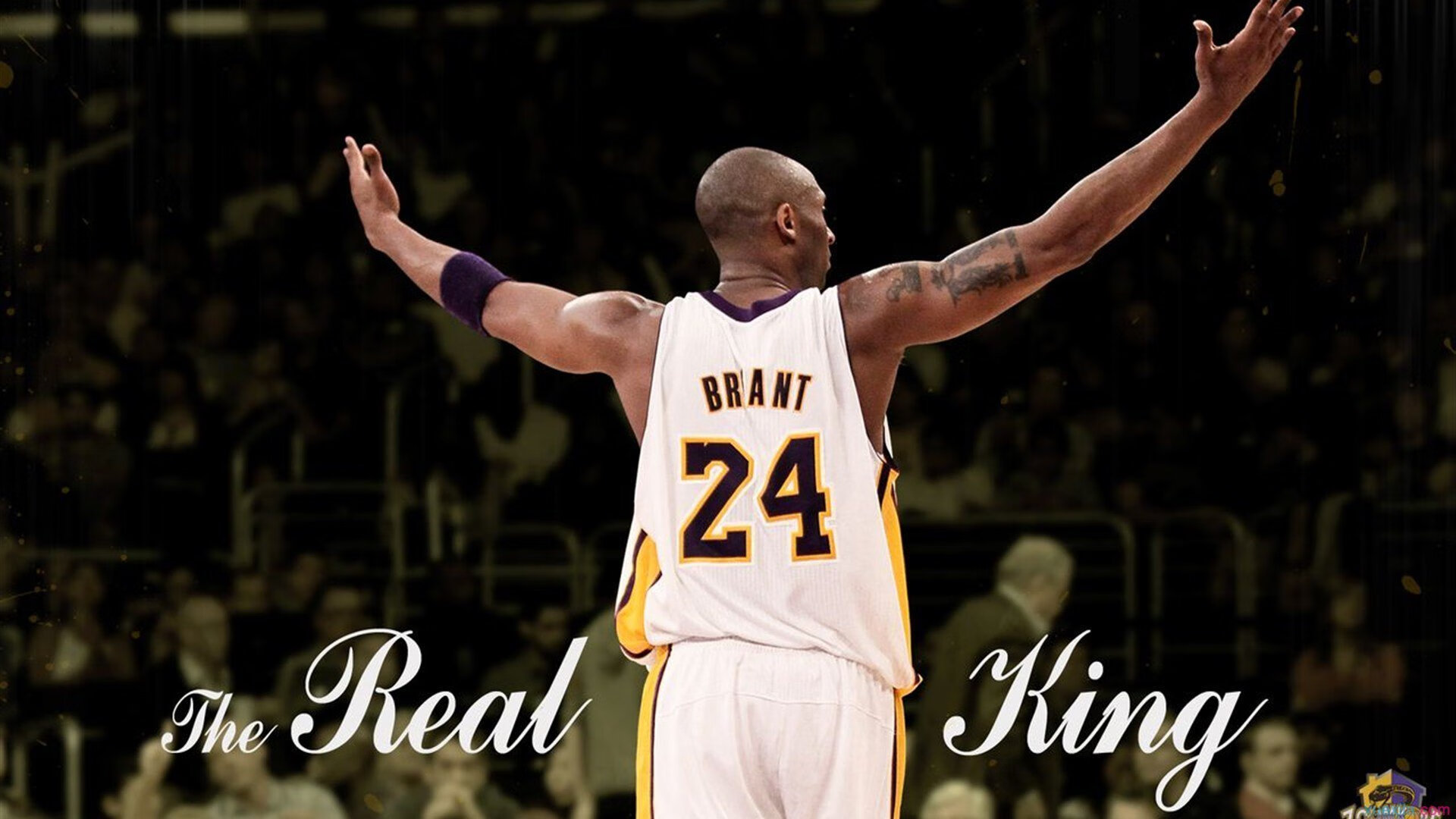 格林伍德全场防守表现稳健，成为袋鼠队攻防转换的关键节点，格林伍德球员