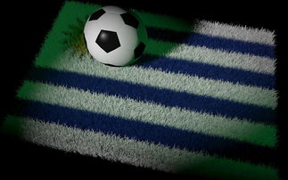 巴西国家足球队在南美预选赛中占据优势，巴西国家足球队在南美预选赛中占据优势的是