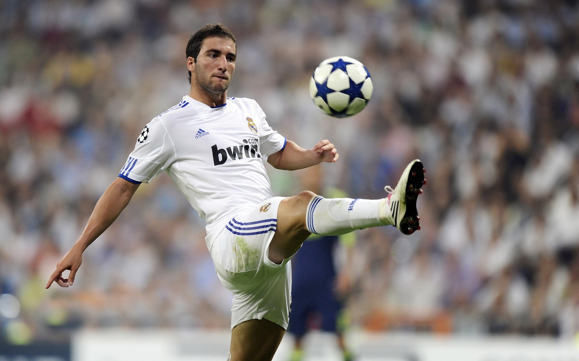 足球教练临场调整频繁获赞，战术灵活性显著，足球教练在场边喊什么