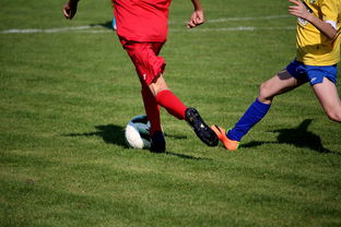 中国足球俱乐部与高校合作足球项目推行情况，中国足球高校联赛